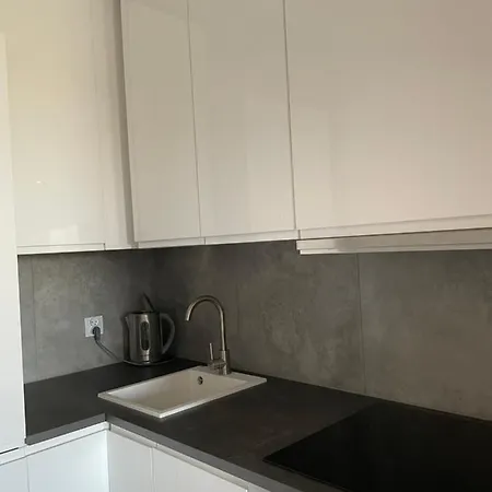 Premium Apartment With Private Parking Near City Center Katovice Exteriér fotografie